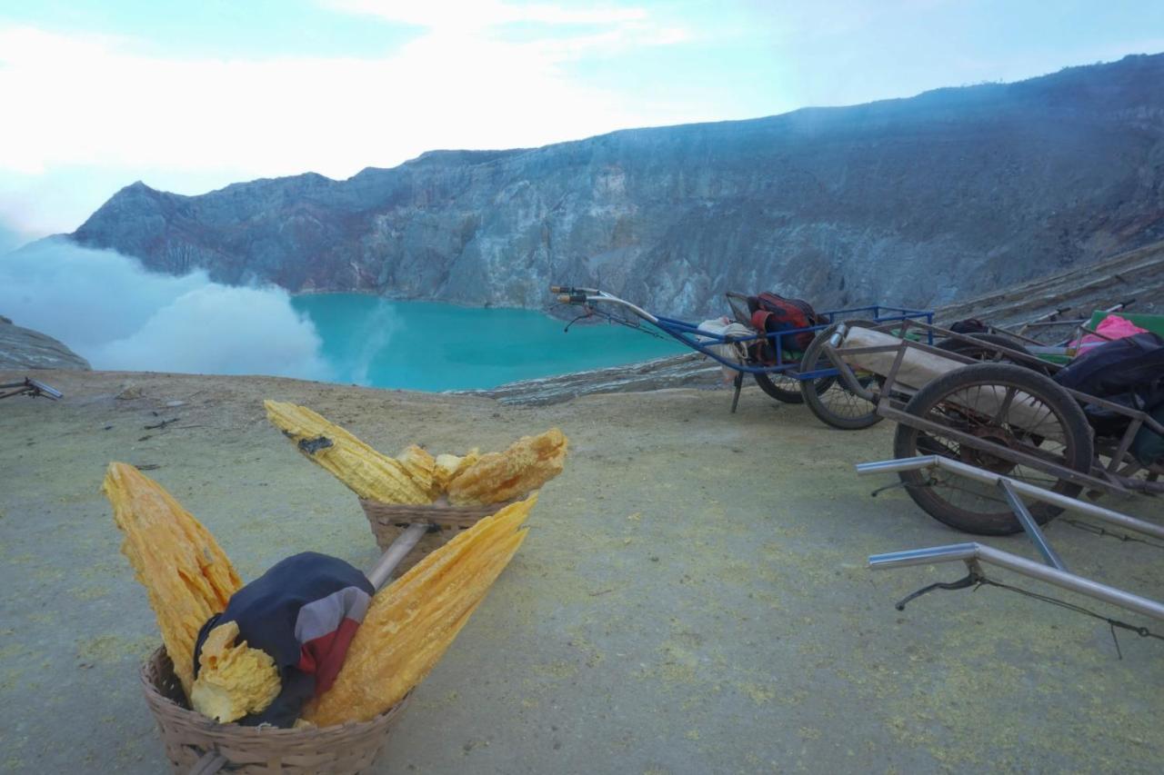 Wisma Pulau Merah Pasanggaran Ngoại thất bức ảnh
